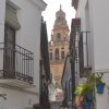 Cordoba Calleja de las Flores